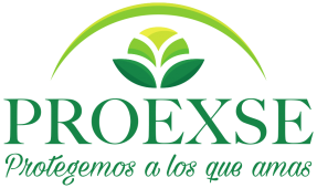 gallery/proexse logo silueta final